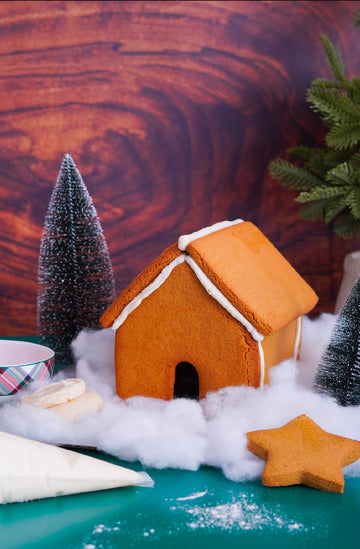 Gingerbread House (1)